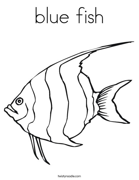 Angelfish Coloring Page