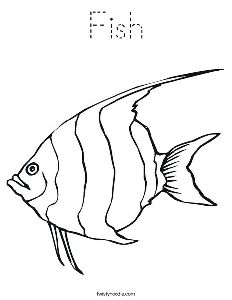 Angelfish Coloring Page