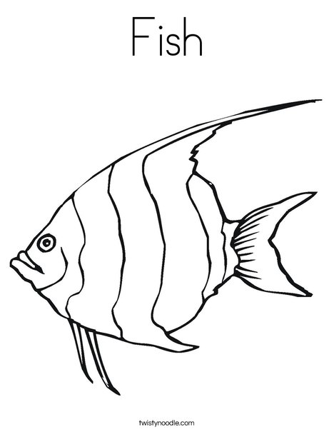 Angelfish Coloring Page
