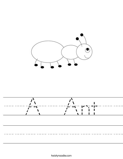 Ant Worksheet