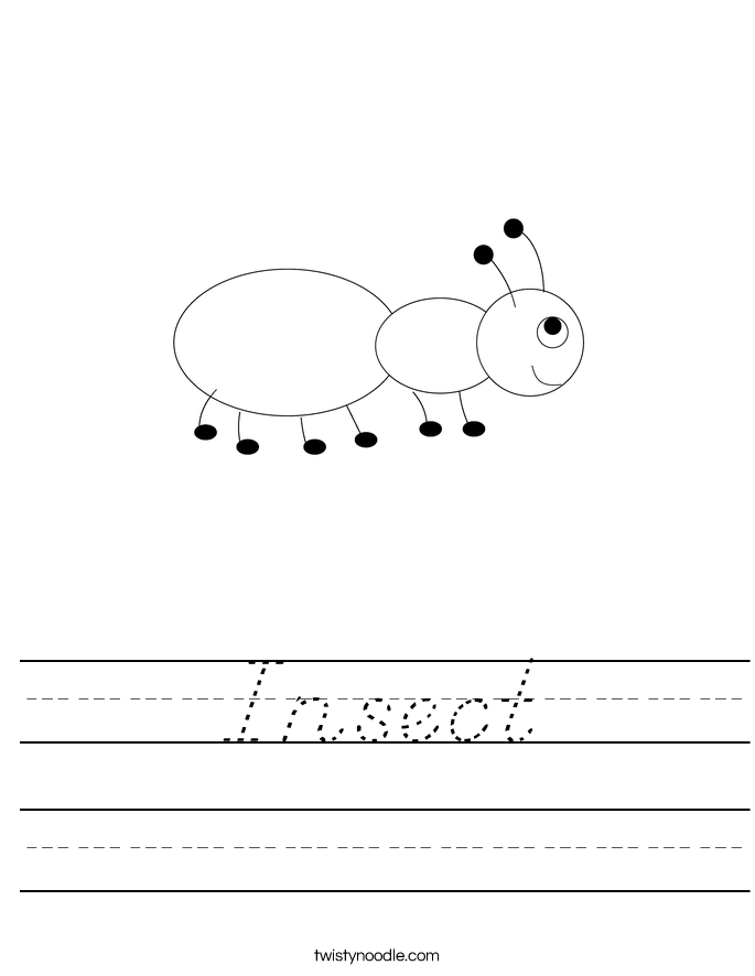 Insect Worksheet
