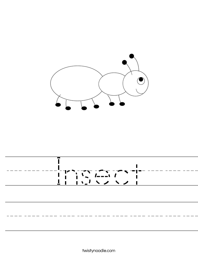 Insect Worksheet - Twisty Noodle