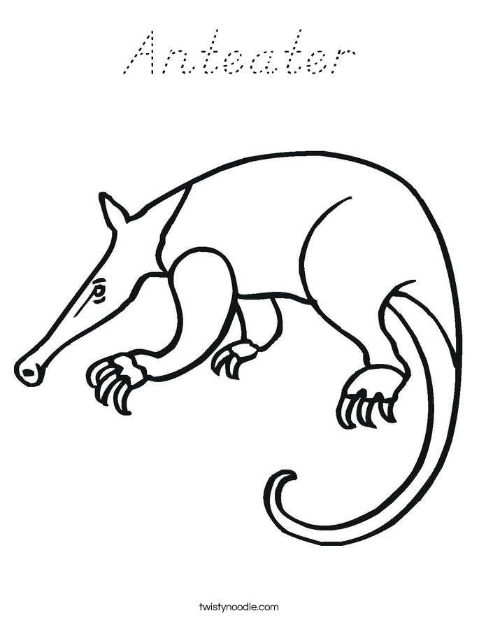 Anteater Coloring Page