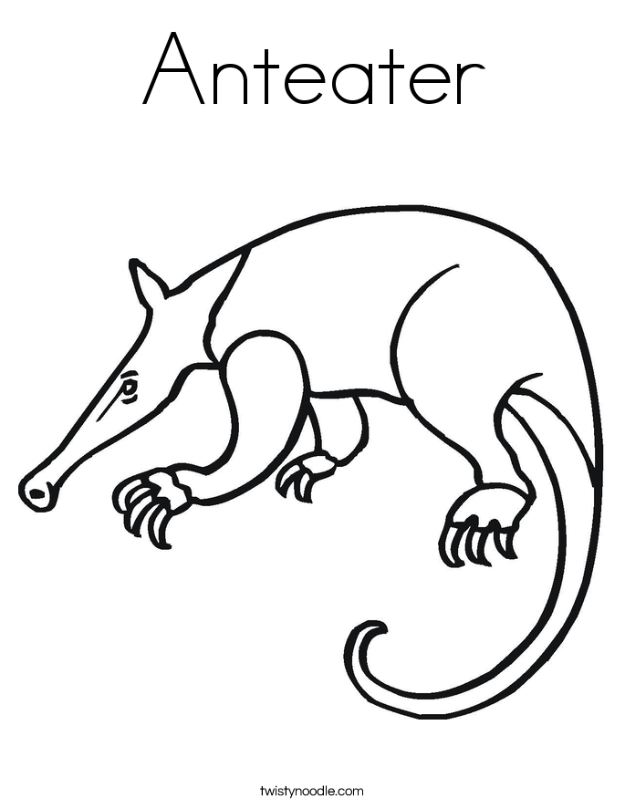 Anteater Coloring Page - Twisty Noodle