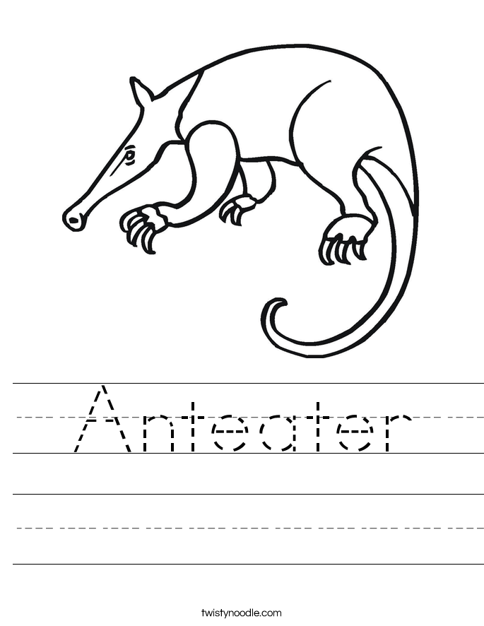 Anteater Worksheet