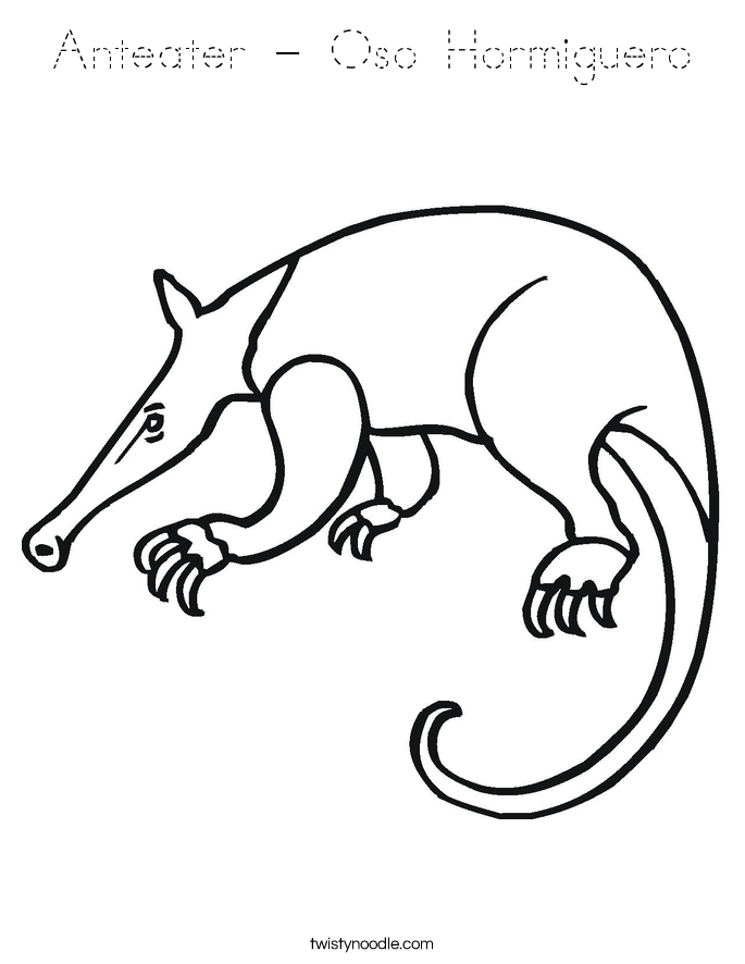 Anteater - Oso Hormiguero Coloring Page