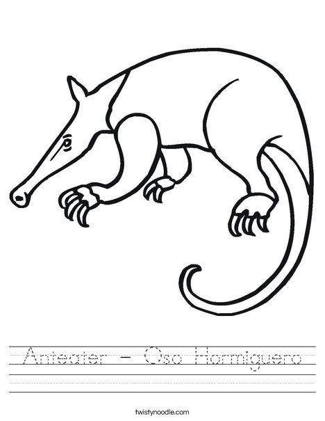 Anteater Worksheet
