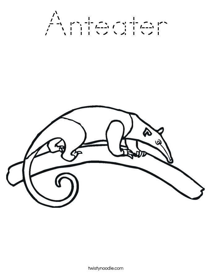 Anteater Coloring Page