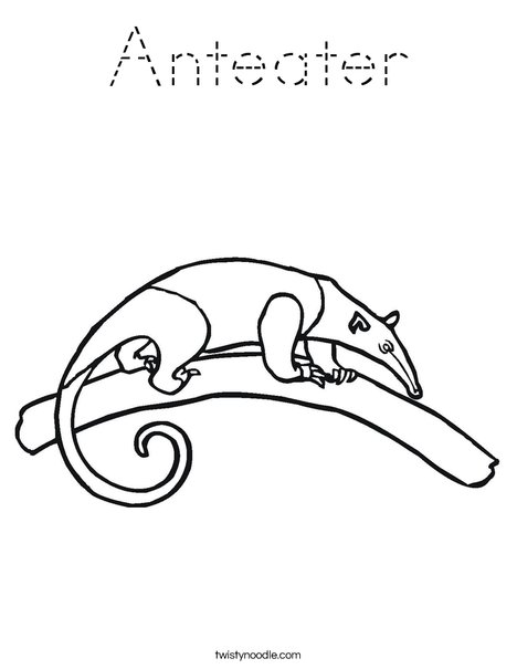Anteater on a Branch Coloring Page
