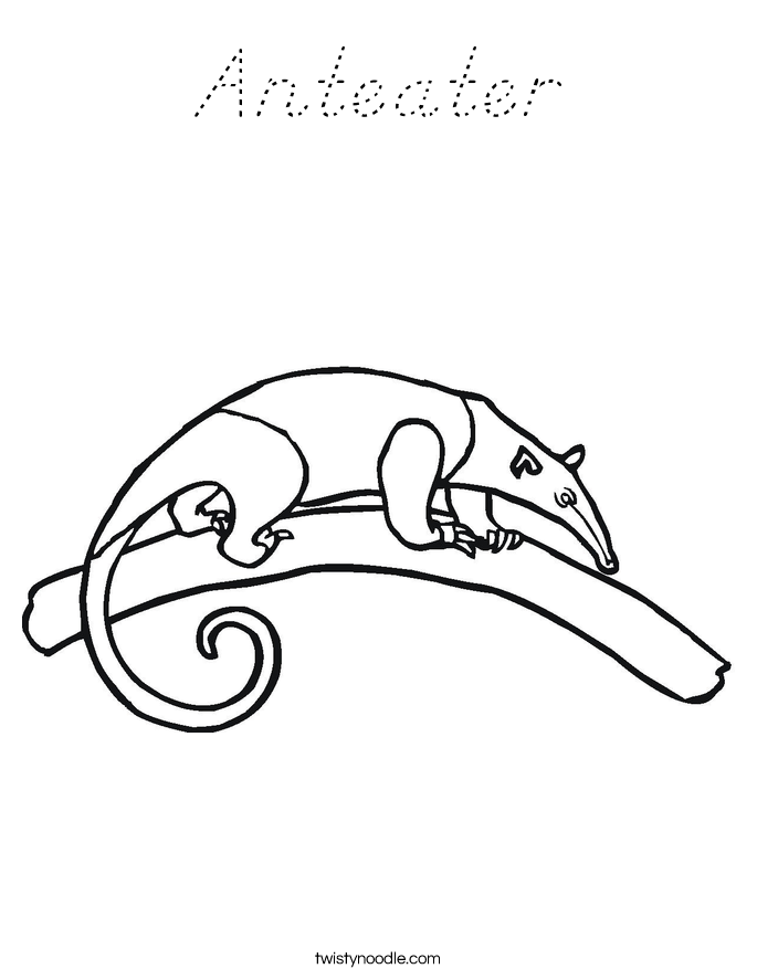 Anteater Coloring Page