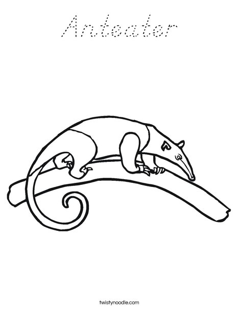 Anteater on a Branch Coloring Page