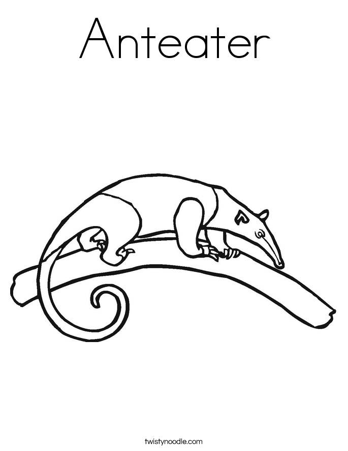 Anteater Coloring Page