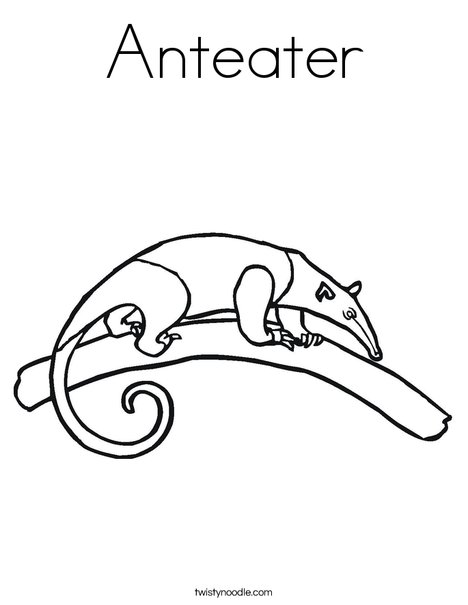 Anteater on a Branch Coloring Page