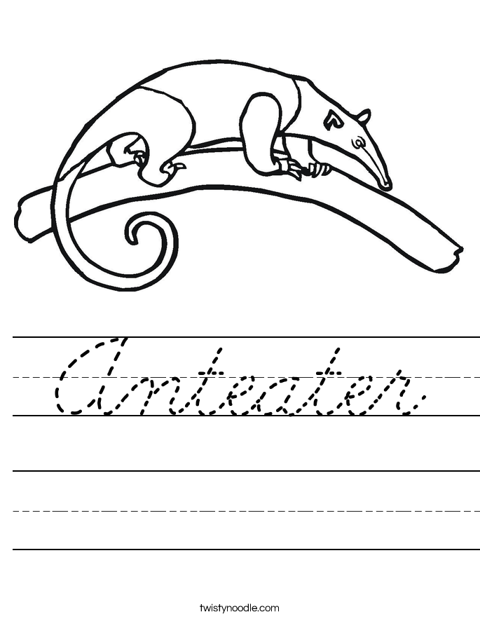 Anteater Worksheet