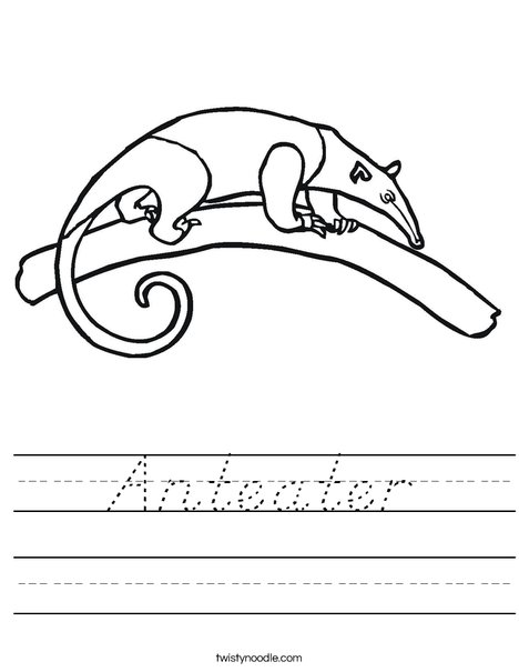 Anteater on a Branch Worksheet