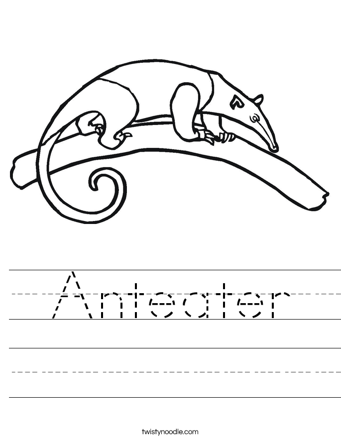 Anteater Worksheet