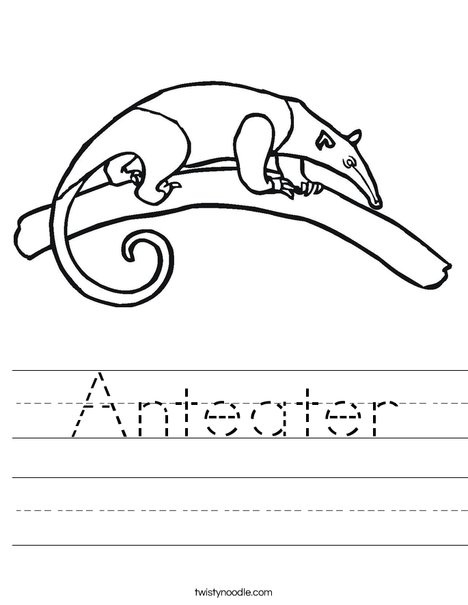 Anteater on a Branch Worksheet