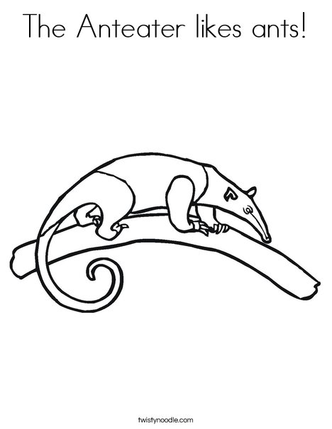 Anteater on a Branch Coloring Page