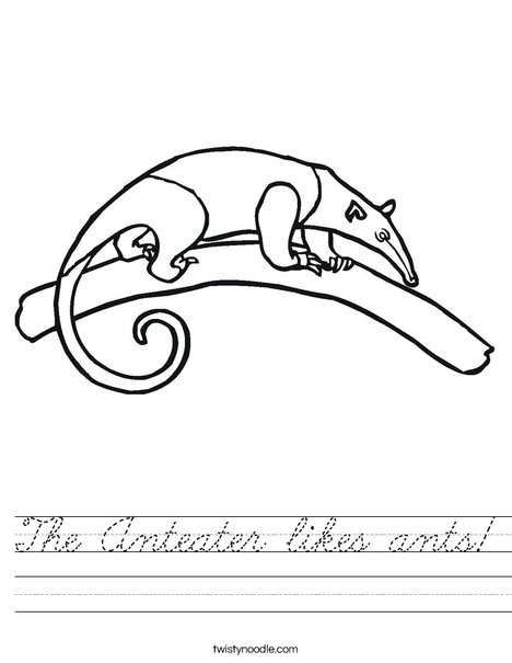 Anteater on a Branch Worksheet
