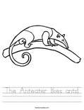 The Anteater likes ants! Worksheet