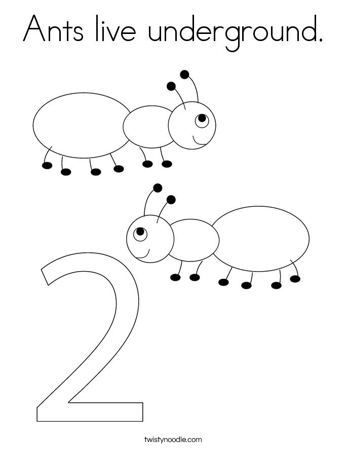 Ants live underground. Coloring Page
