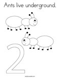 Ants Live Underground Coloring Page Twisty Noodle