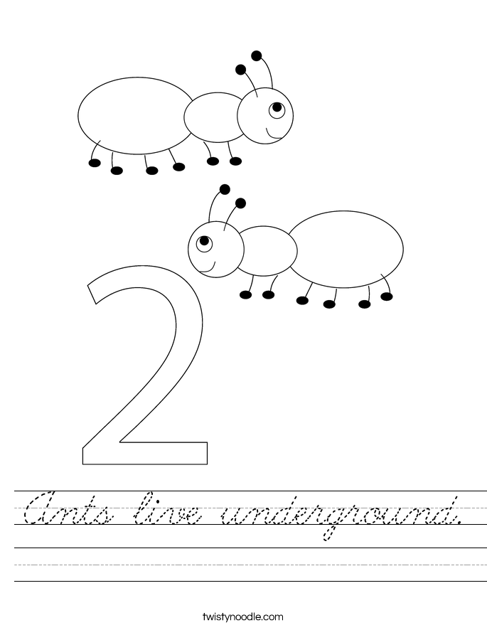 Ants live underground. Worksheet