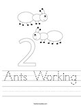 From Ants To Grizzlies Worksheet From Ants To Grizzlies Worksheet