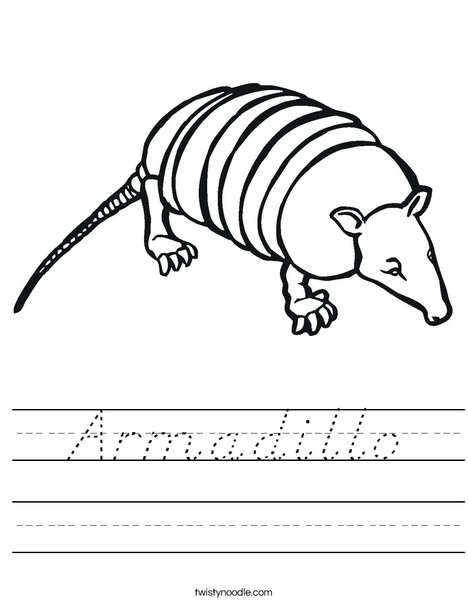 Armadillo Worksheet