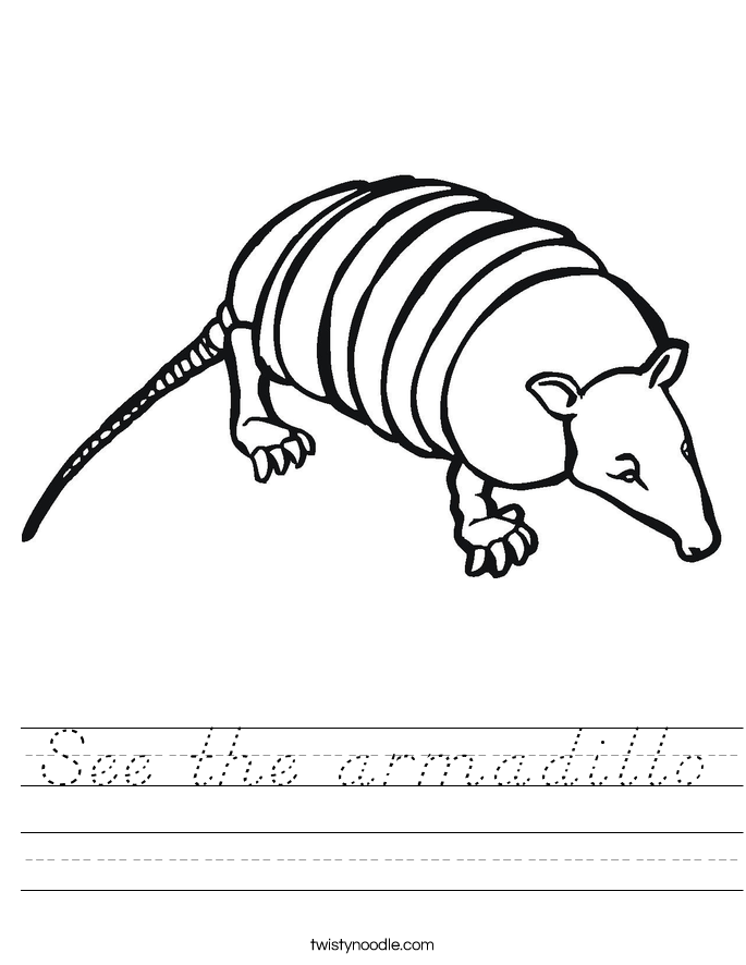 See the armadillo Worksheet