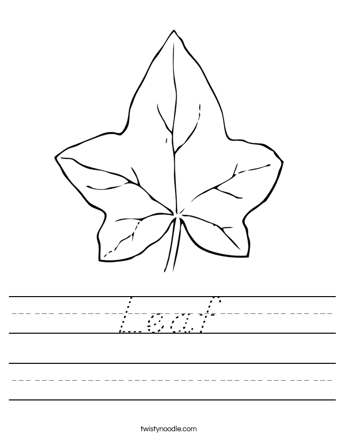 Leaf Worksheet