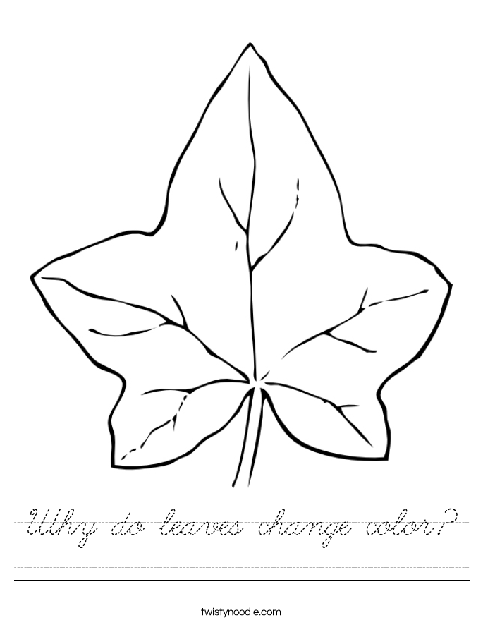 Why do leaves change color? Worksheet
