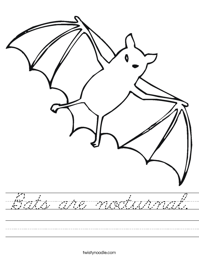 Bats are nocturnal. Worksheet