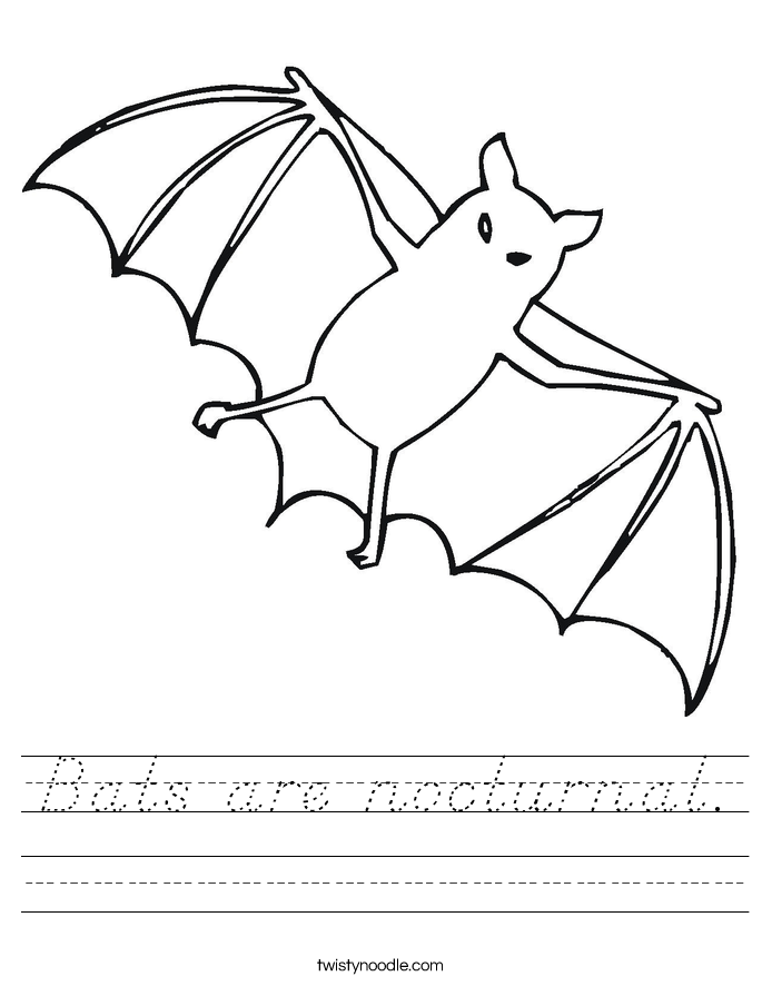 Bats are nocturnal. Worksheet