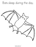 Bats sleep during the day. Coloring Page