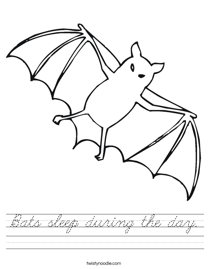 Bats sleep during the day. Worksheet