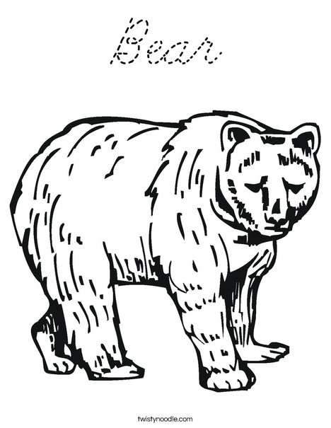 Grizzly Bear Coloring Page