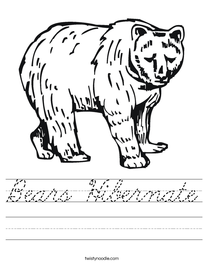Bears Hibernate Worksheet
