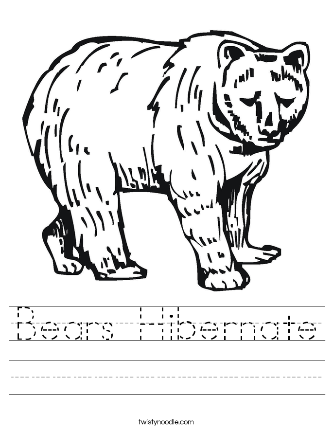 Bears Hibernate Worksheet - Twisty Noodle