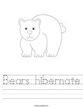 Bears hibernate Worksheet