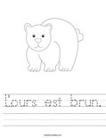 L'ours est brun. Worksheet
