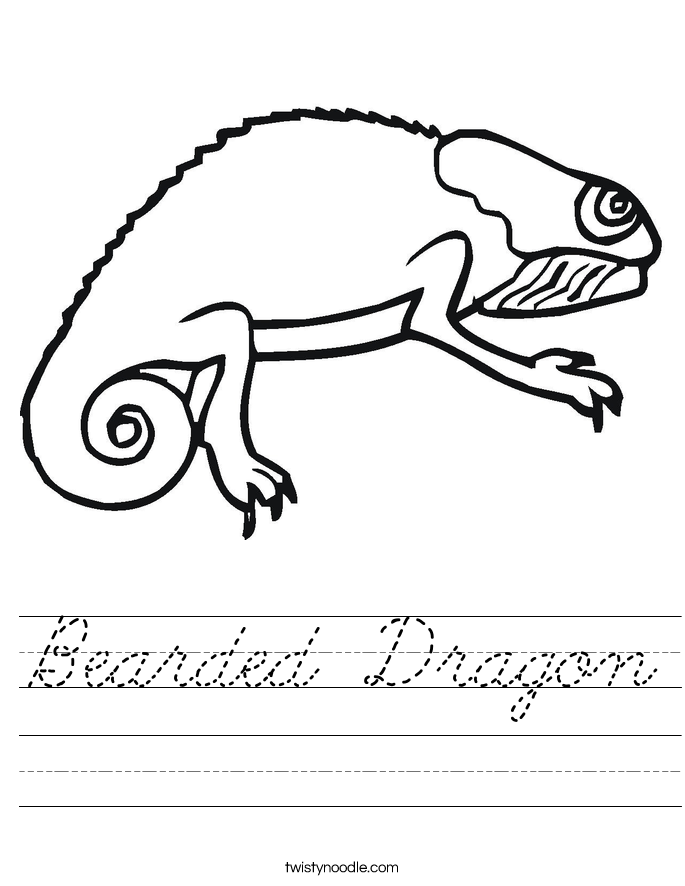 Bearded Dragon Worksheet
