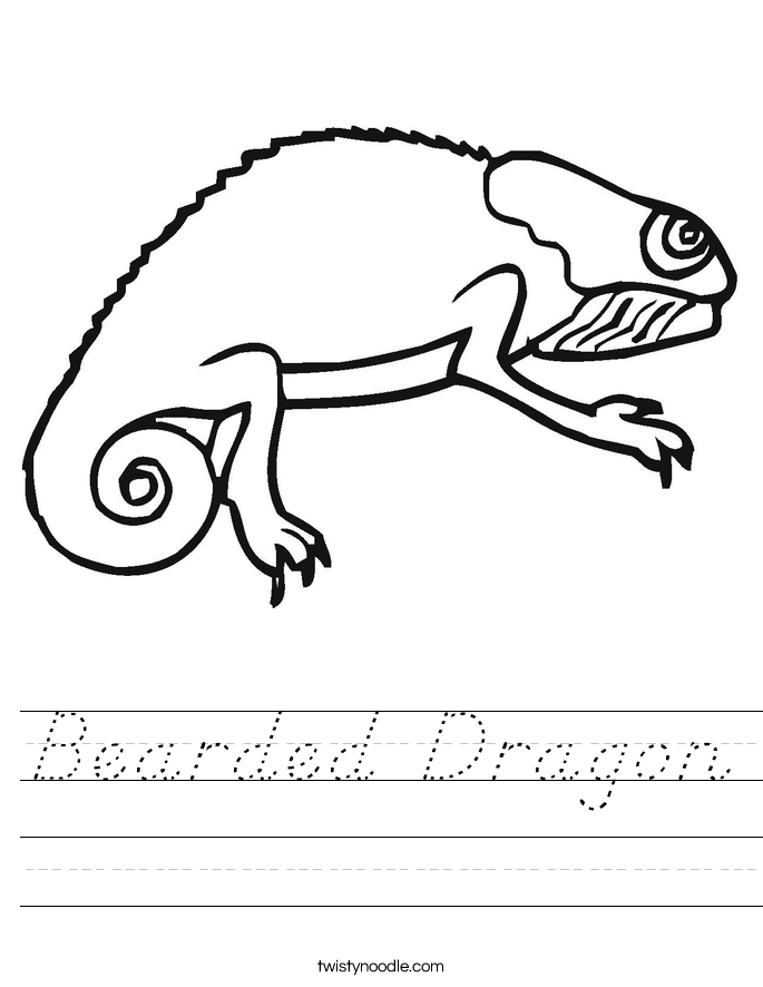 Bearded Dragon Worksheet
