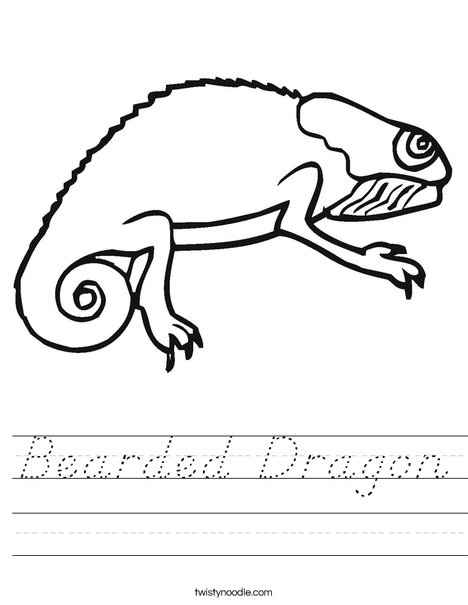 Bearded Dragon Worksheet
