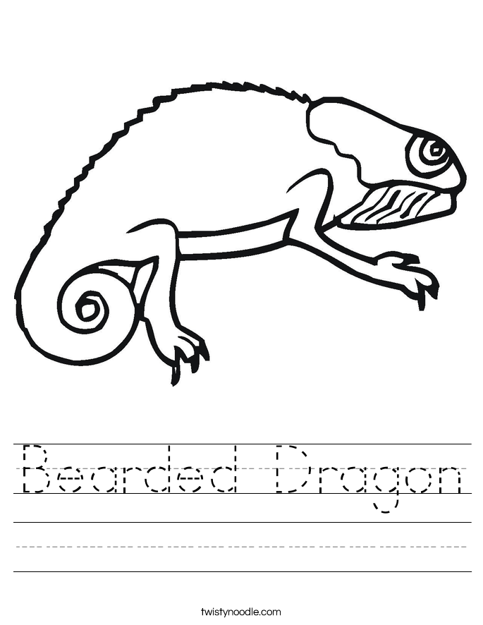 Bearded Dragon Worksheet