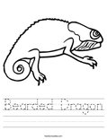 Bearded Dragon Worksheet