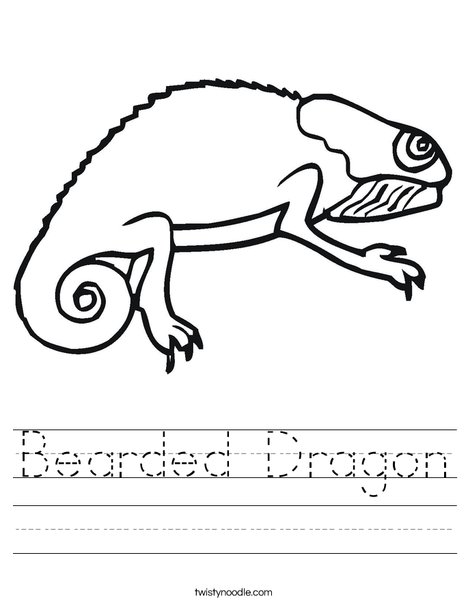 Bearded Dragon Worksheet