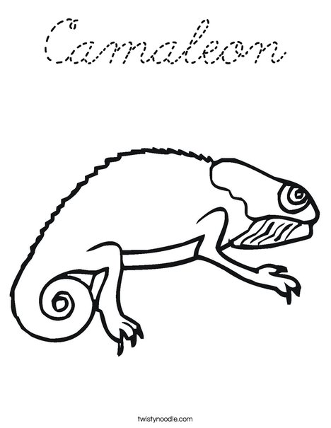 Bearded Dragon Coloring Page