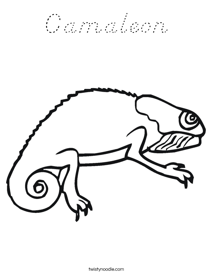 Camaleon Coloring Page