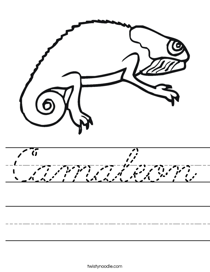 Camaleon Worksheet
